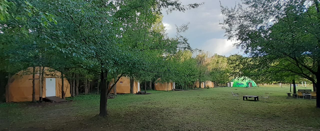 Proceed to the Next Steps